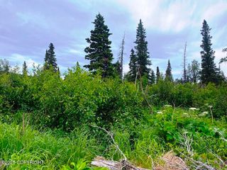 L3A Alta Court, Anchorage, AK 99516