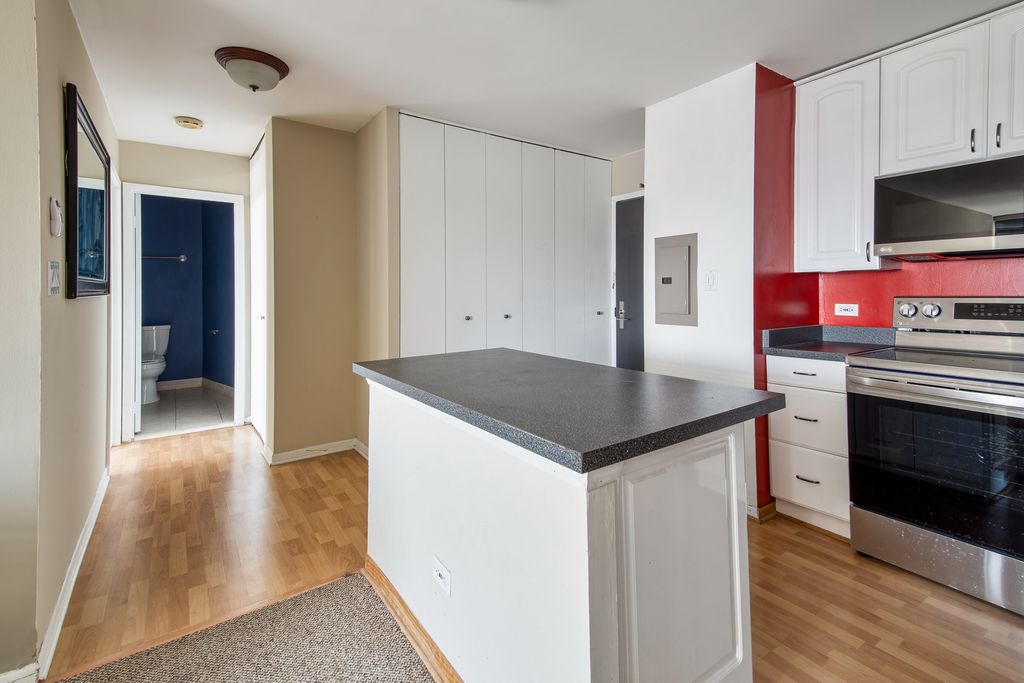 3930 N Pine Grove Avenue 2710, Chicago, IL 60613 — photo 5