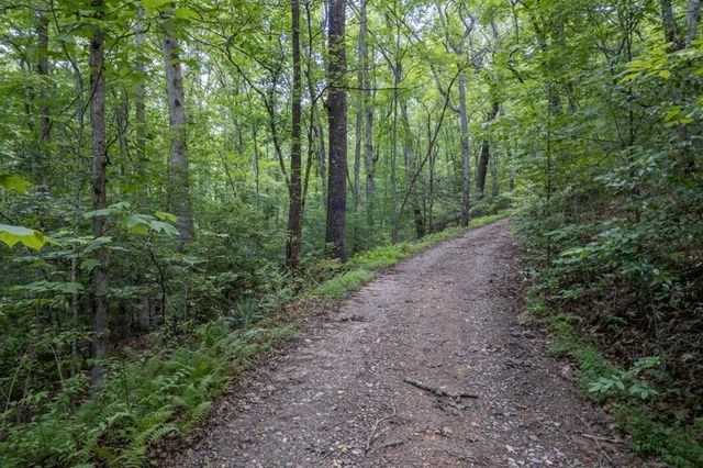 6 AC Solar Drive, Blue Ridge, GA 30513
