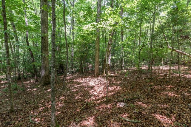 6 AC Solar Drive, Blue Ridge, GA 30513