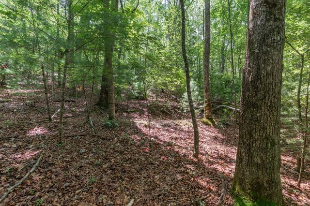6 AC Solar Drive, Blue Ridge, GA 30513