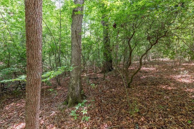 6 AC Solar Drive, Blue Ridge, GA 30513