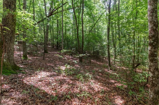 6 AC Solar Drive, Blue Ridge, GA 30513