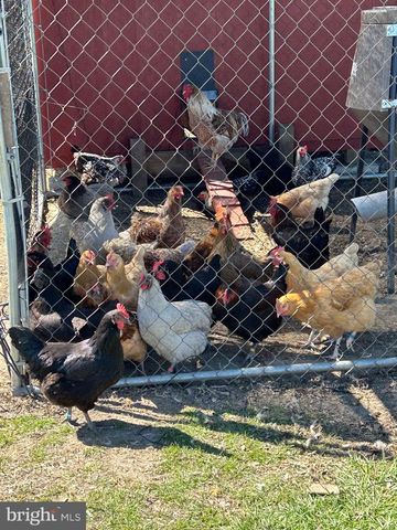 2649 ROBERTS STATION RD, Ingleside, MD 21644