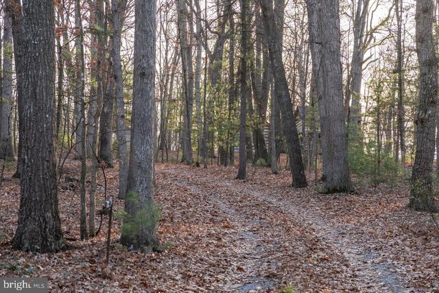800 COVE MOUNTAIN RD, Mathias, WV 26812