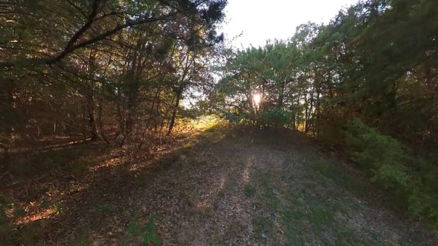 lot 49 Caddo Trail, Corsicana, TX 75109