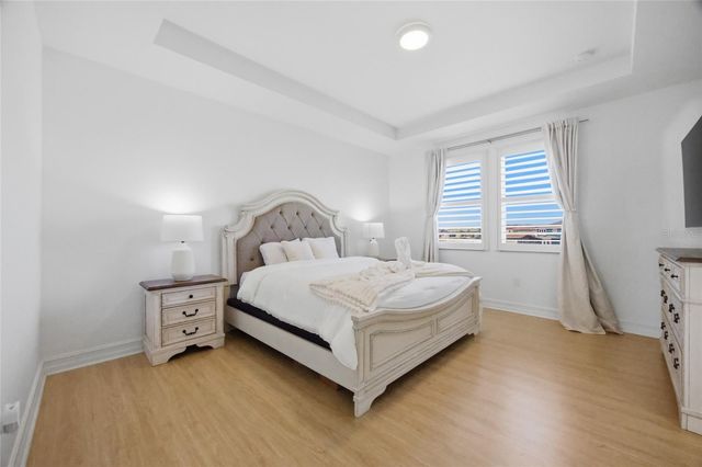 29003 TREVI PLACE, Wesley Chapel, FL 33543