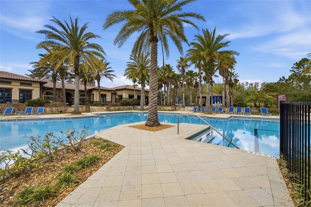 29003 TREVI PLACE, Wesley Chapel, FL 33543