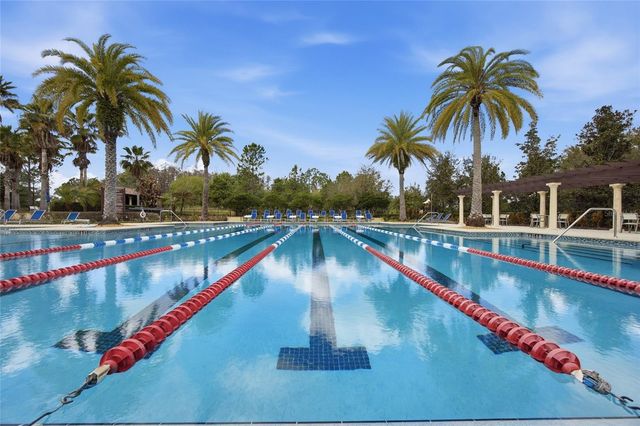 29003 TREVI PLACE, Wesley Chapel, FL 33543