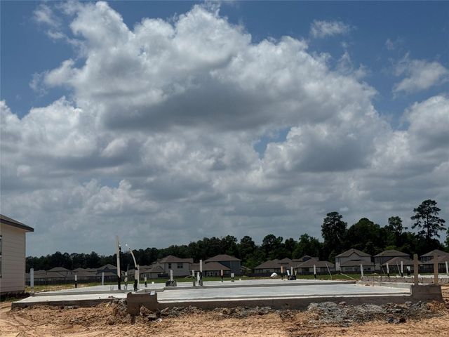 20854 Wildbird Cherry Lane, Porter, TX 77365