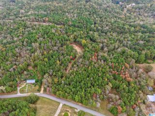 1215 BUDDY VINES CAMP ROAD, Bessemer, AL 35023