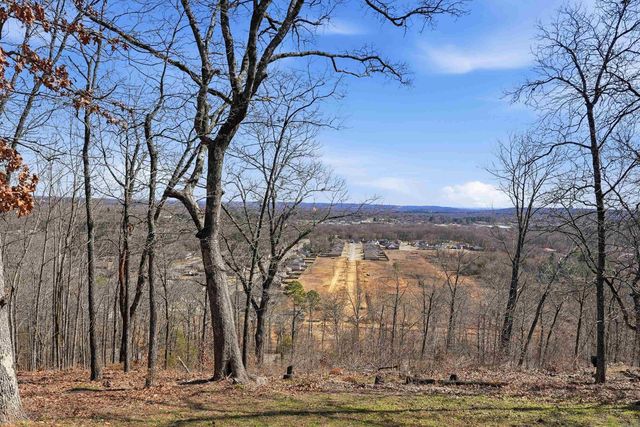 13 Scenic Point, Greenbrier, AR 72058