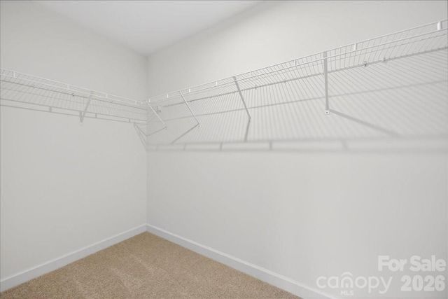 1428 Anderson Street, Charlotte, NC 28205