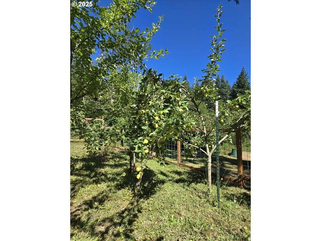 26810 Ne 77TH St, Vancouver, WA 98682