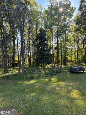 74 Willow Dell Drive, Senoia, GA 30276