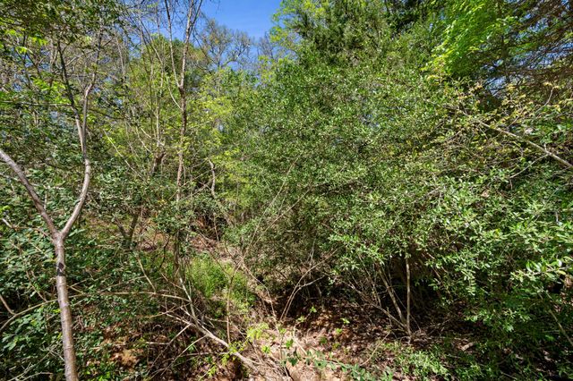 102 and 106 Kauloo CT, Bastrop, TX 78602