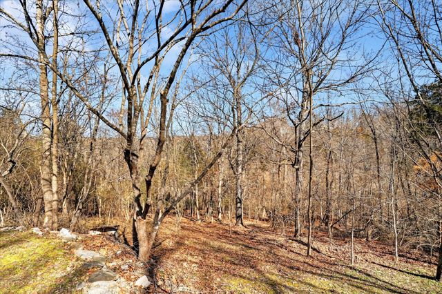 202 Cardinal Road, Forsyth, MO 65653