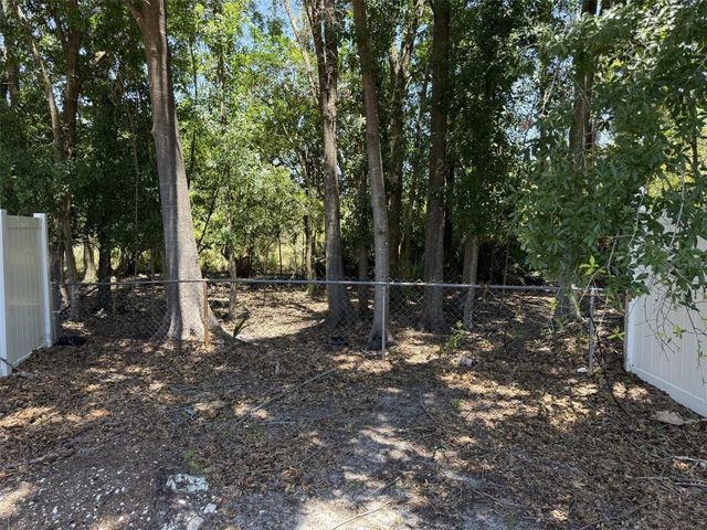 12448 BRAXTED DRIVE, Orlando, FL 32837