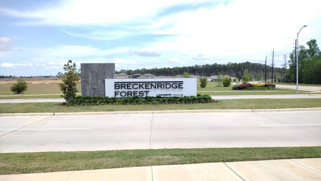 24315 Saddlestone Green Dr, Spring, TX 77373