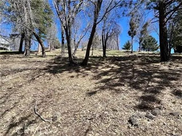 41 Fredalba, Running Springs, CA 92382