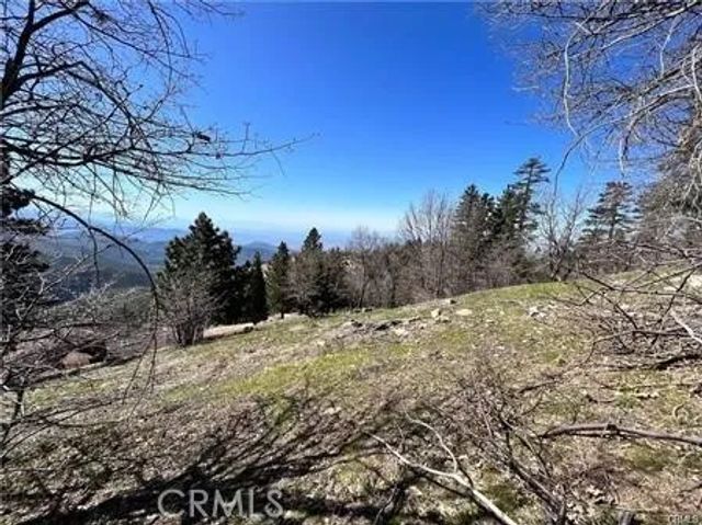 41 Fredalba, Running Springs, CA 92382
