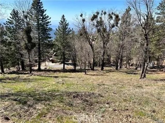 41 Fredalba, Running Springs, CA 92382