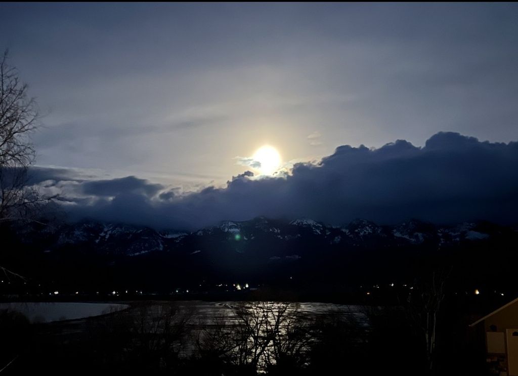 113 Mission Bay Drive, Polson, MT 59860 photo 89