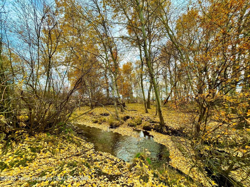 S BATES Road, Driggs, ID 83422 photo 3