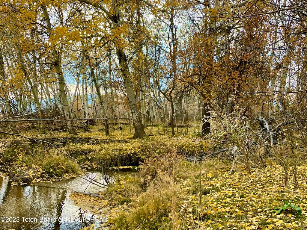 S BATES Road, Driggs, ID 83422 photo 4