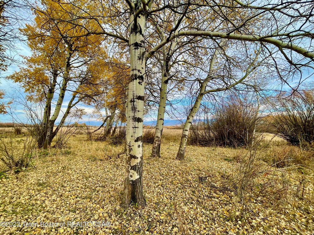 S BATES Road, Driggs, ID 83422 photo 5