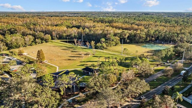 10505 CRANLEIGH COURT, Tampa, FL 33626