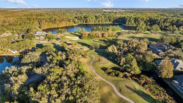 10505 CRANLEIGH COURT, Tampa, FL 33626