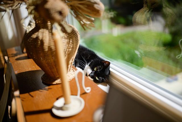 10735 Westwood Road, Felton, CA 95018