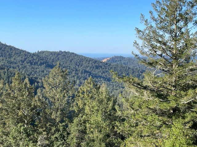 351 Canyon Vista, Los Gatos, CA 95033