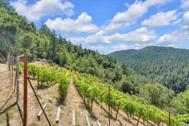 351 Canyon Vista, Los Gatos, CA 95033