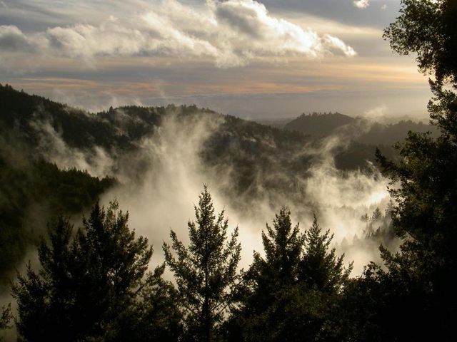 351 Canyon Vista, Los Gatos, CA 95033