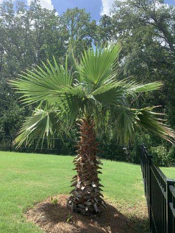 5065 Song Sparrow Way, Summerville, SC 29483