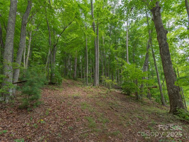 00 Bark Trail, Waynesville, NC 28786