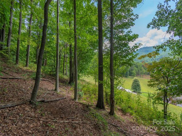 00 Bark Trail, Waynesville, NC 28786