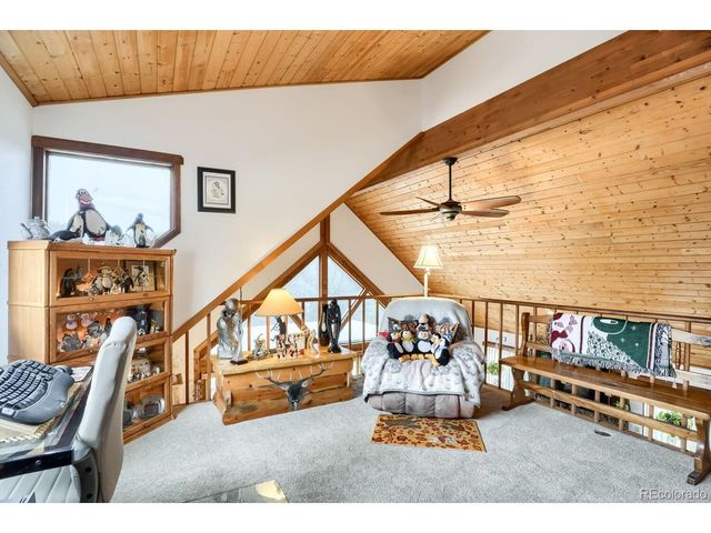 497 Woodside Dr, Pine, CO 80470