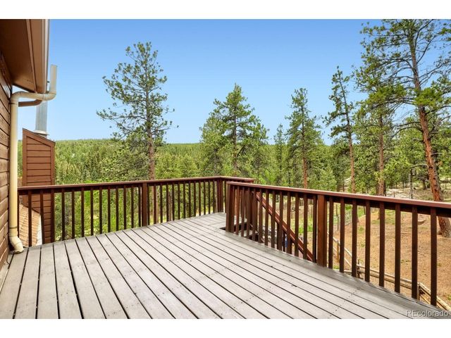 497 Woodside Dr, Pine, CO 80470