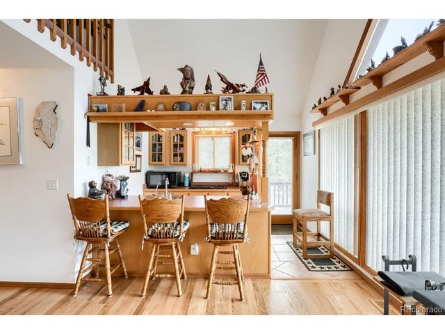 497 Woodside Dr, Pine, CO 80470