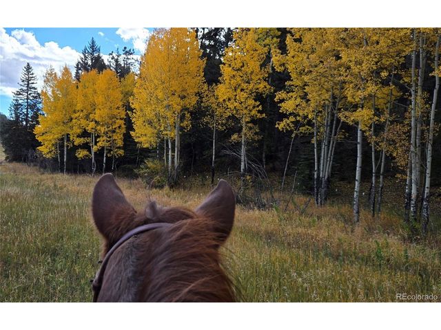 497 Woodside Dr, Pine, CO 80470
