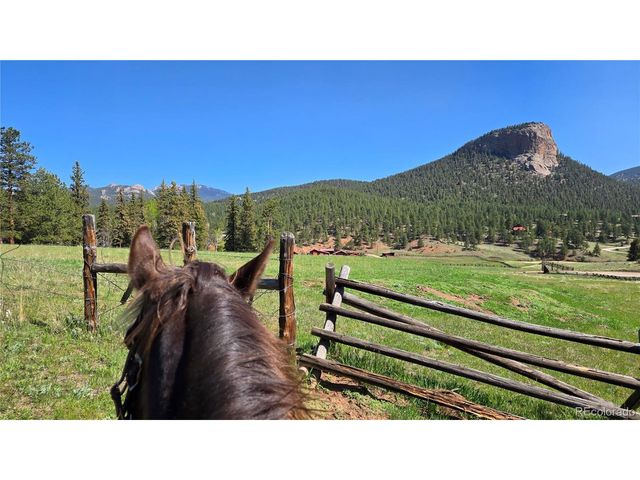 497 Woodside Dr, Pine, CO 80470