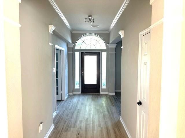 25807 Sarah Springs Court, Spring, TX 77373