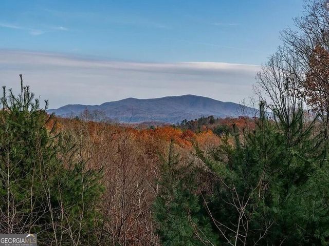 189 Trails End Ridge, Ellijay, GA 30540