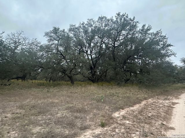 1150 County Road 765, Moore, TX 78057