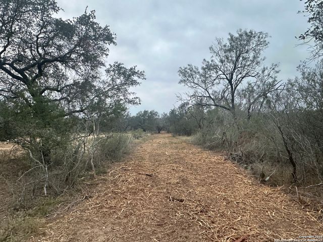 1150 County Road 765, Moore, TX 78057