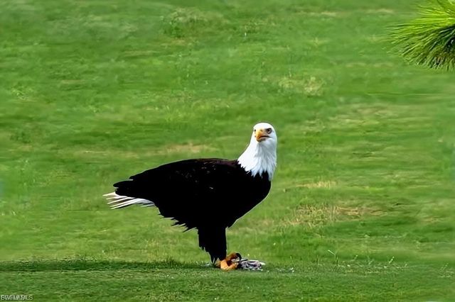 16470 Kelly Cove DR # 2846, Fort Myers, FL 33908