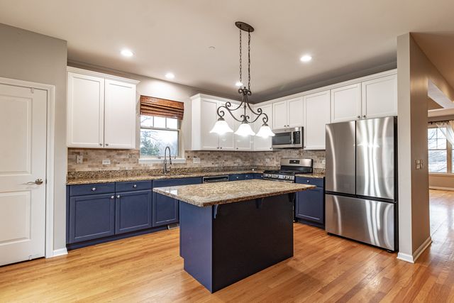 1140 Danforth Court, Vernon Hills, IL 60061